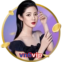 vn6vip