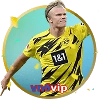vn6vip