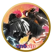 vn6vip