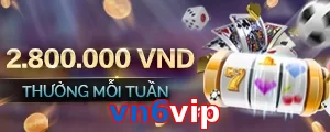 vn6vip