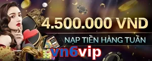 vn6vip