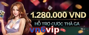 vn6vip