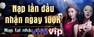vn6vip