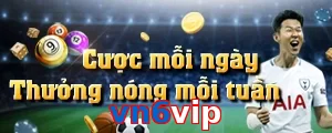 vn6vip