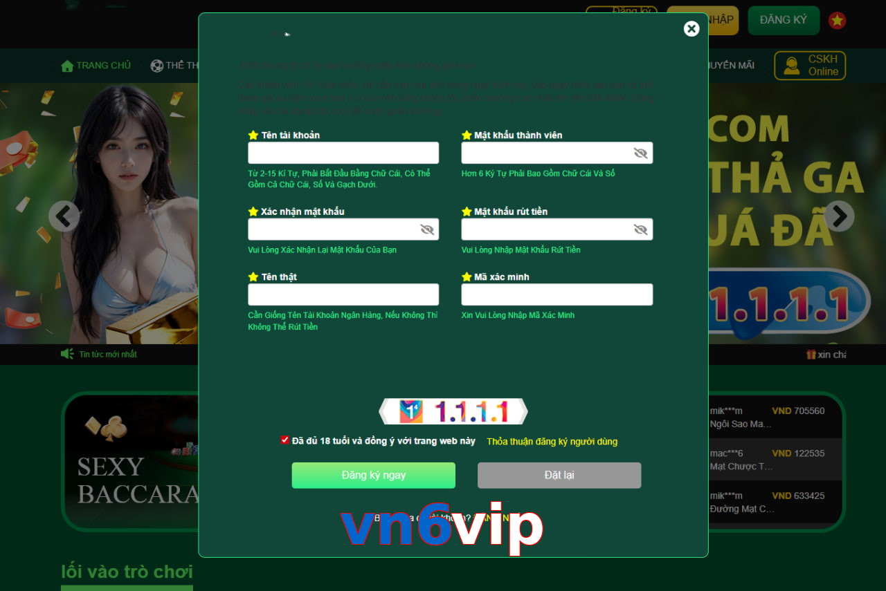 vn6vip